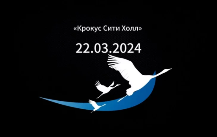 Акция "Журавли" Акция "Журавли"