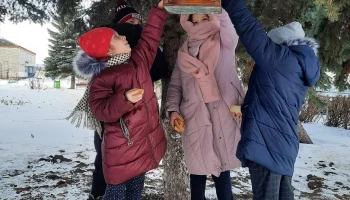 Акция &laquo;Птицы-наши друзья&raquo;