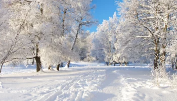 "Валенки"